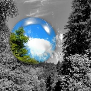 Meet your Posher, Cherise